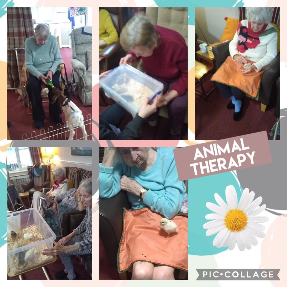 Enjoy and Lots of crafts at orchard house