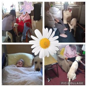 Getting Easter ready this week at orchard house