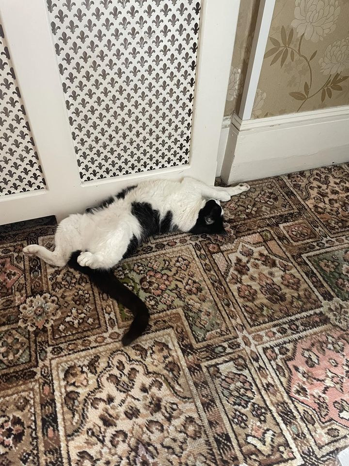 We do love our Olly activity at orchard House