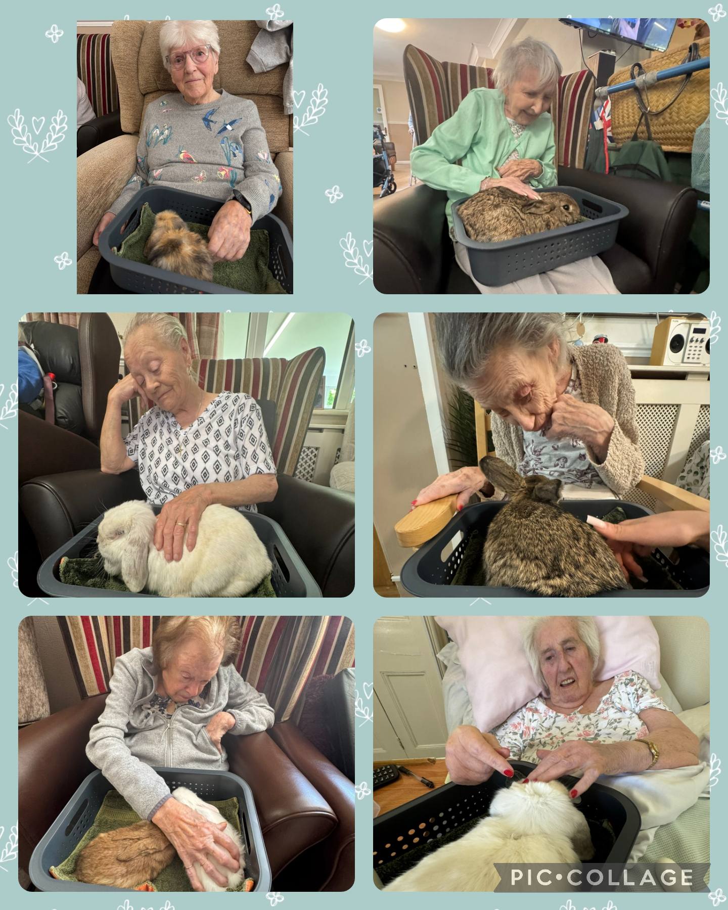 Residents enjoying a visit with therapy rabbits.