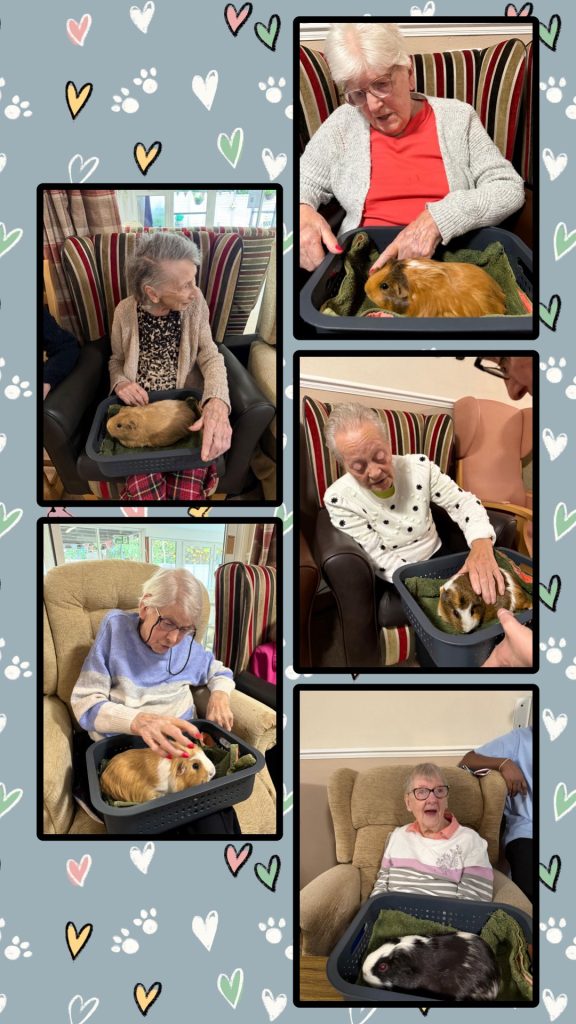 So Many Happy Smiles From Everyone