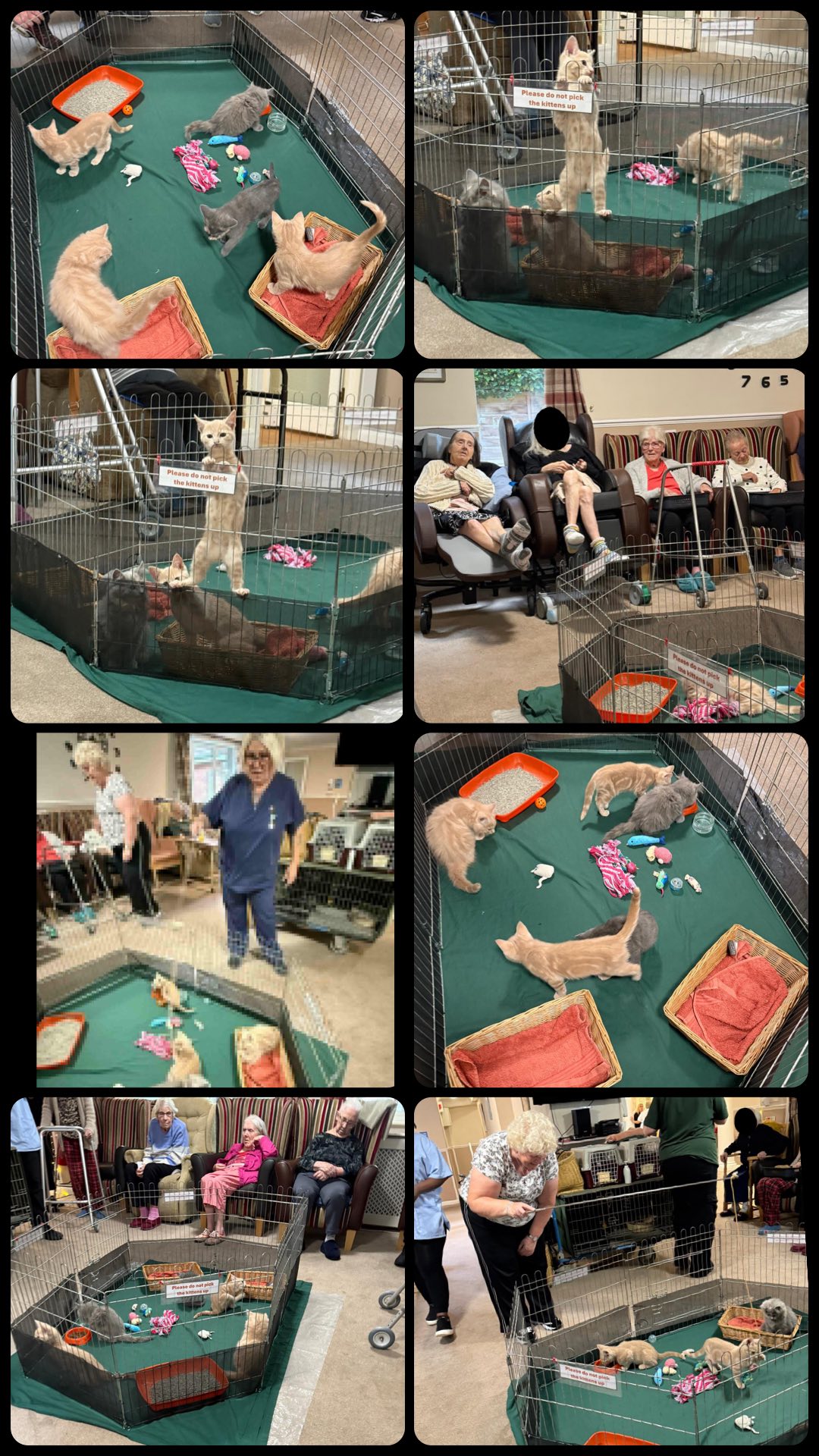 So Many Happy Smiles From Everyone