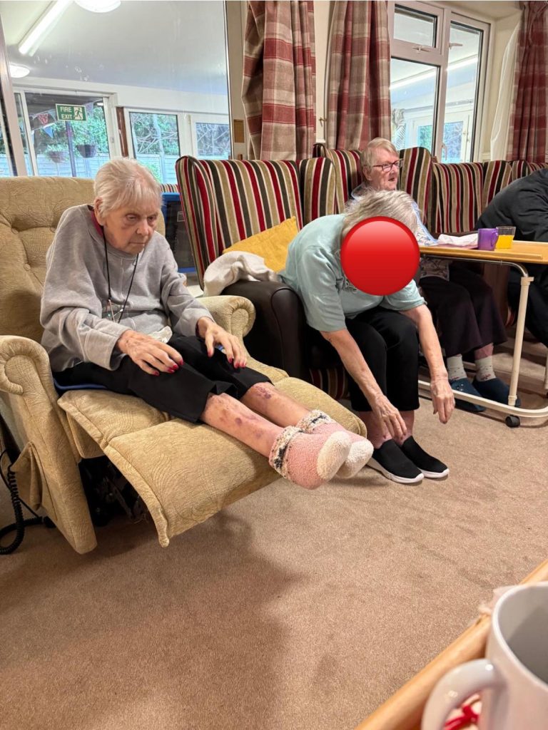Movement and Exercises with Harley