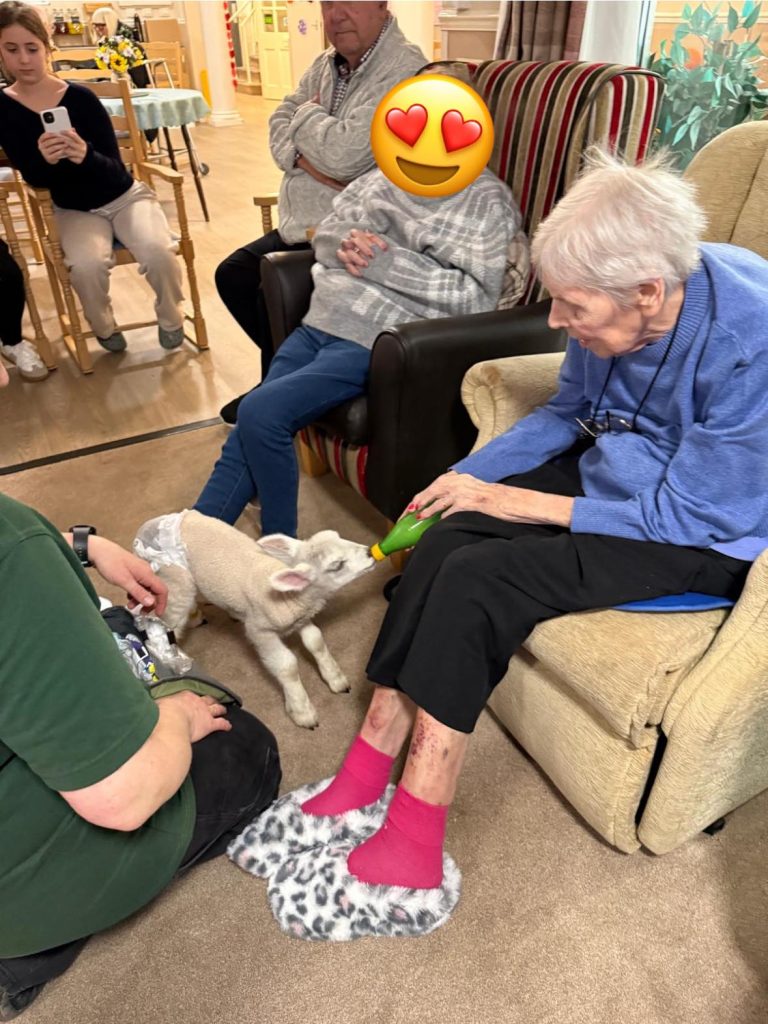 Pet Pals Paid us a Visit This Week and oh my Cuteness!