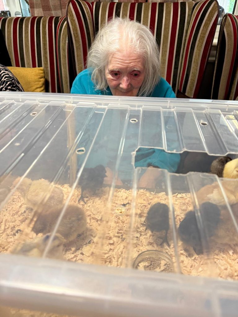 Pet Pals Paid us a Visit This Week and oh my Cuteness!
