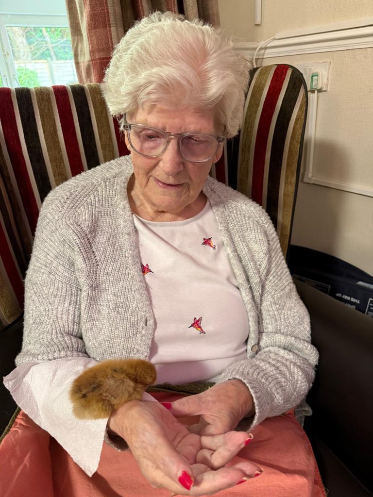 Pet Pals Paid us a Visit This Week and oh my Cuteness!