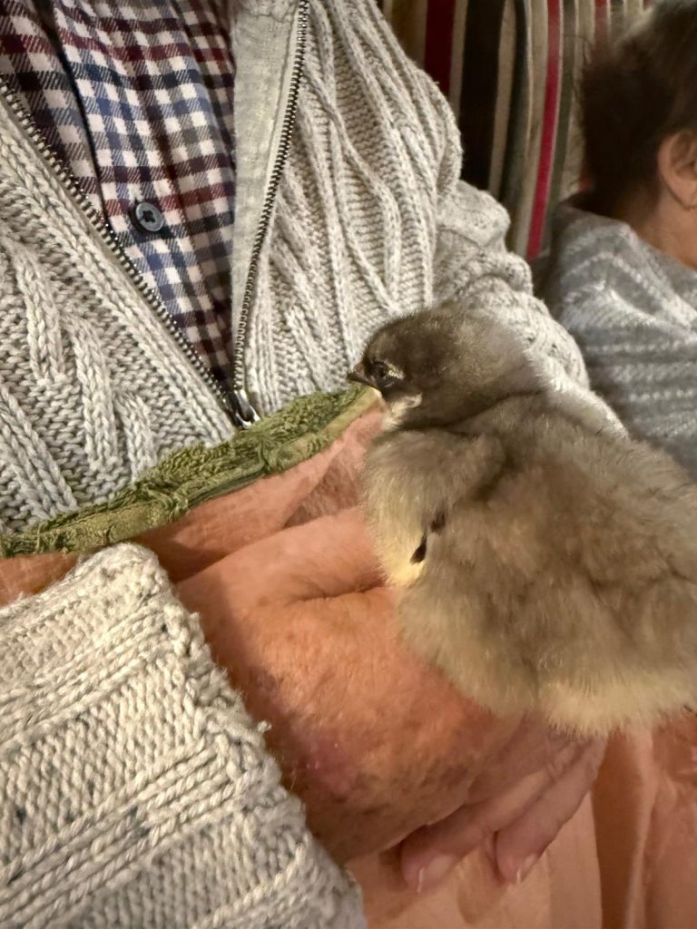 Pet Pals Paid us a Visit This Week and oh my Cuteness!