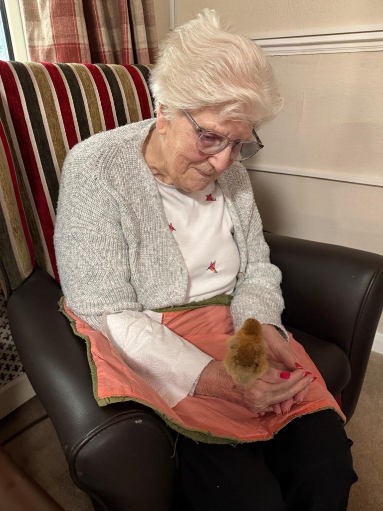 Pet Pals Paid us a Visit This Week and oh my Cuteness!