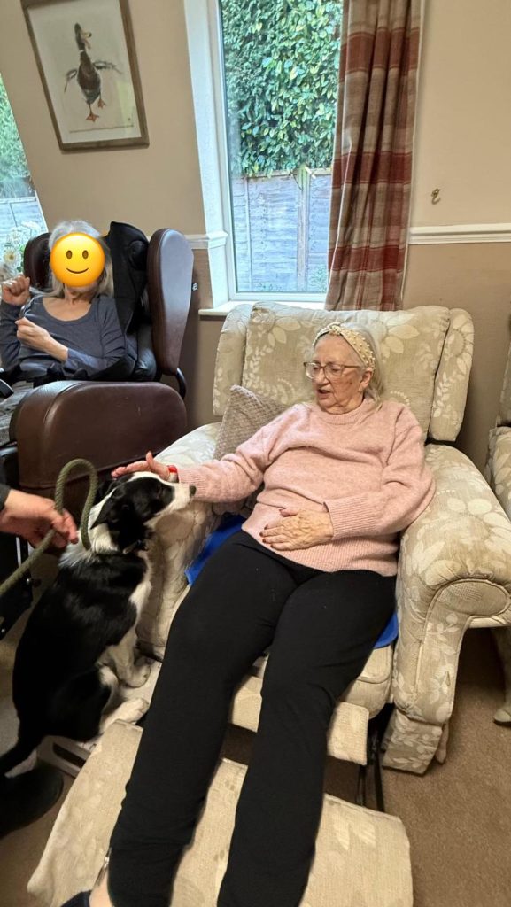 Pet Pals Paid us a Visit This Week and oh my Cuteness!