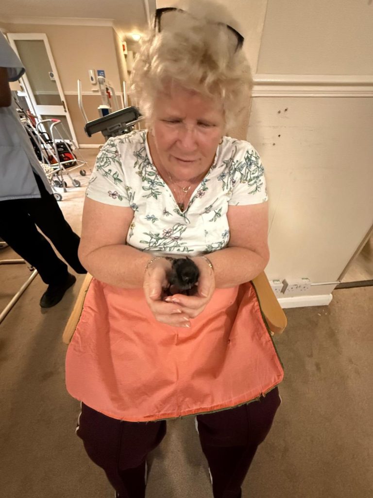 Pet Pals Paid us a Visit This Week and oh my Cuteness!