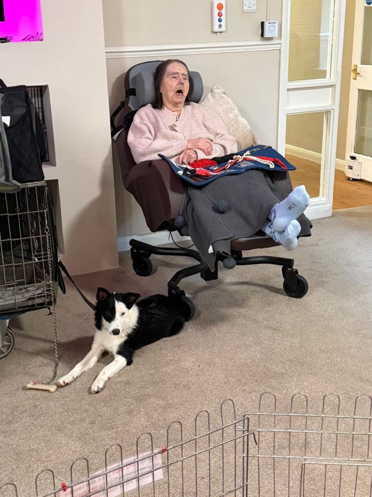 Pet Pals Paid us a Visit This Week and oh my Cuteness!