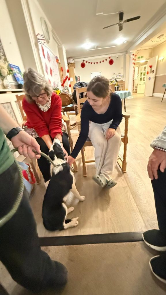 Pet Pals Paid us a Visit This Week and oh my Cuteness!