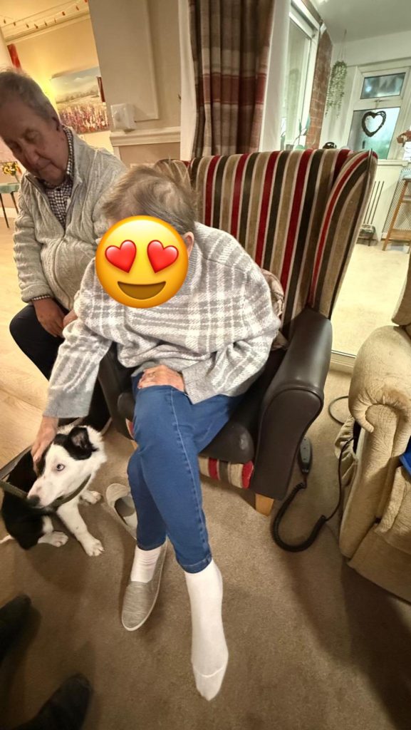 Pet Pals Paid us a Visit This Week and oh my Cuteness!