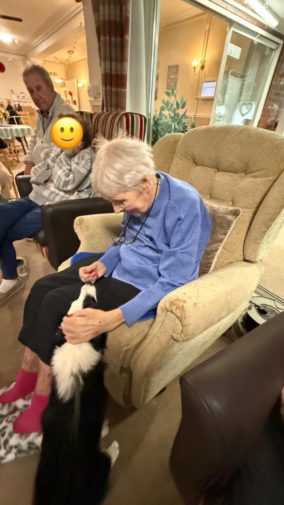 Pet Pals Paid us a Visit This Week and oh my Cuteness!