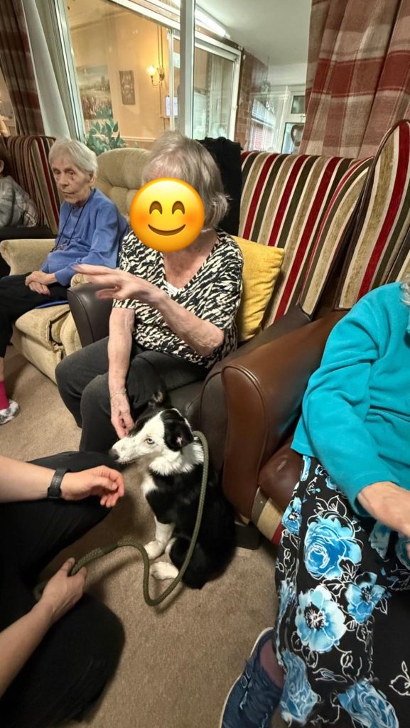 Pet Pals Paid us a Visit This Week and oh my Cuteness!