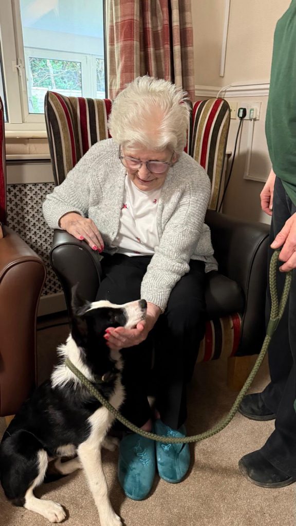 Pet Pals Paid us a Visit This Week and oh my Cuteness!