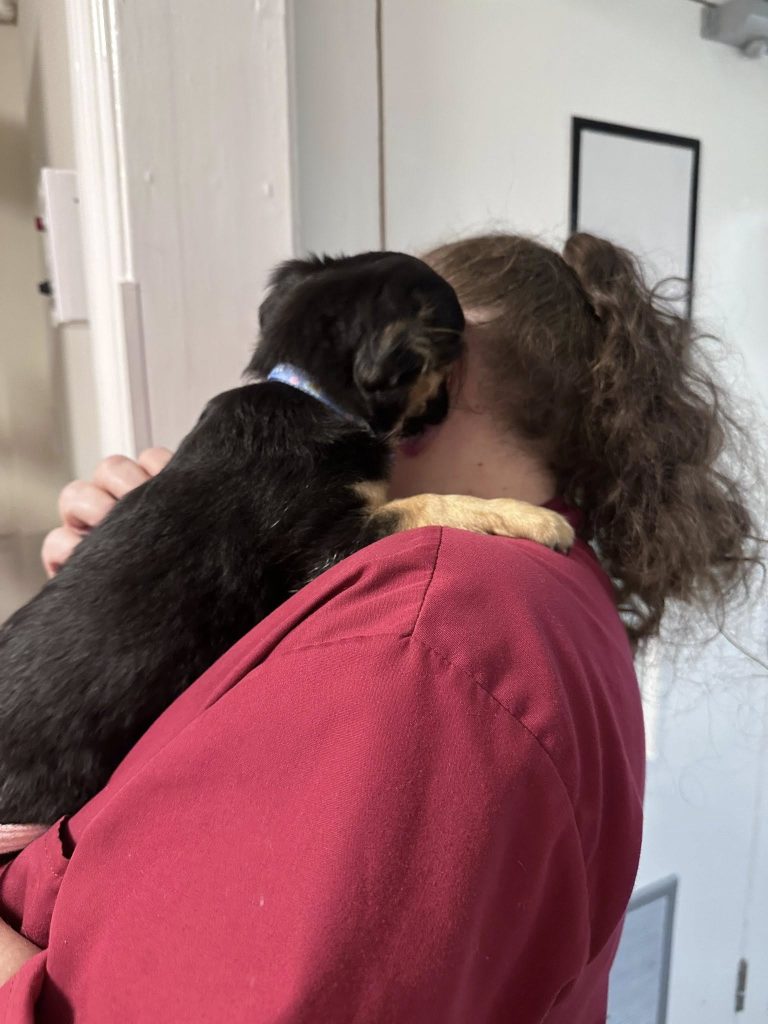 We Had a Cute Visit From Louise and Missy Her New Puppy 