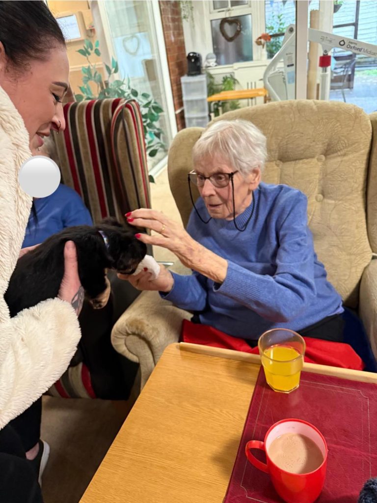 We Had a Cute Visit From Louise and Missy Her New Puppy 