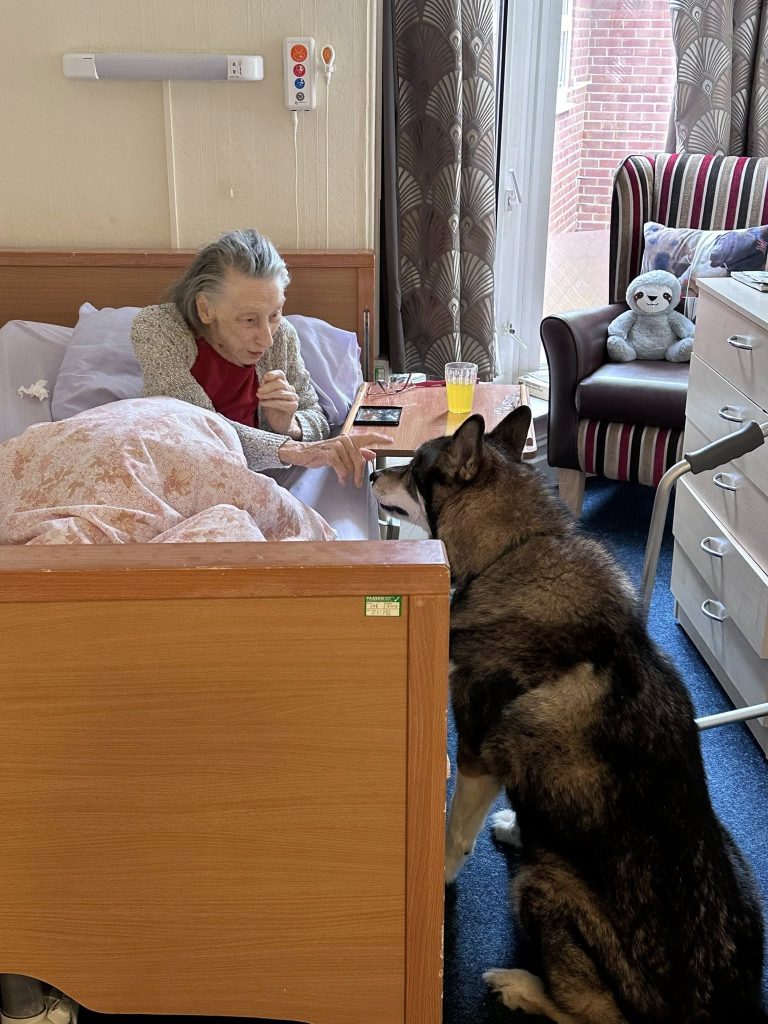 Elderly woman gently reaching toward a dog beside her bed.