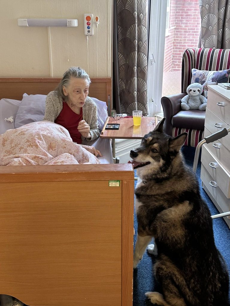 Elderly woman in bed looking at a large dog sitting nearby.