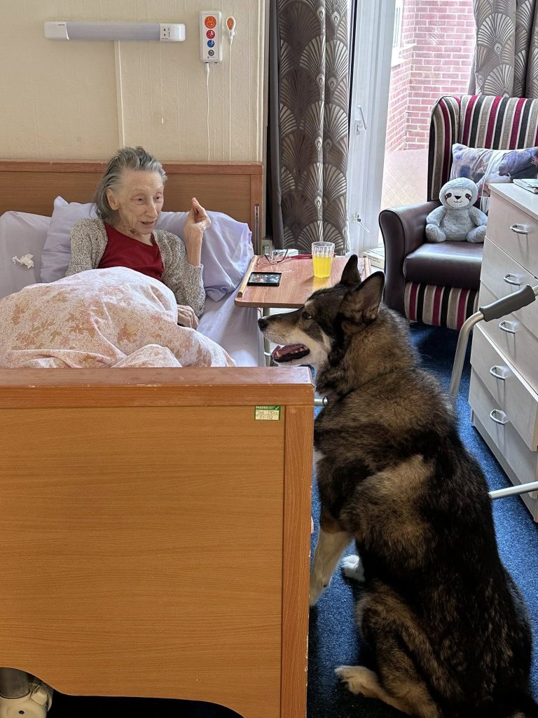 Elderly woman in bed smiling and interacting with a large dog.