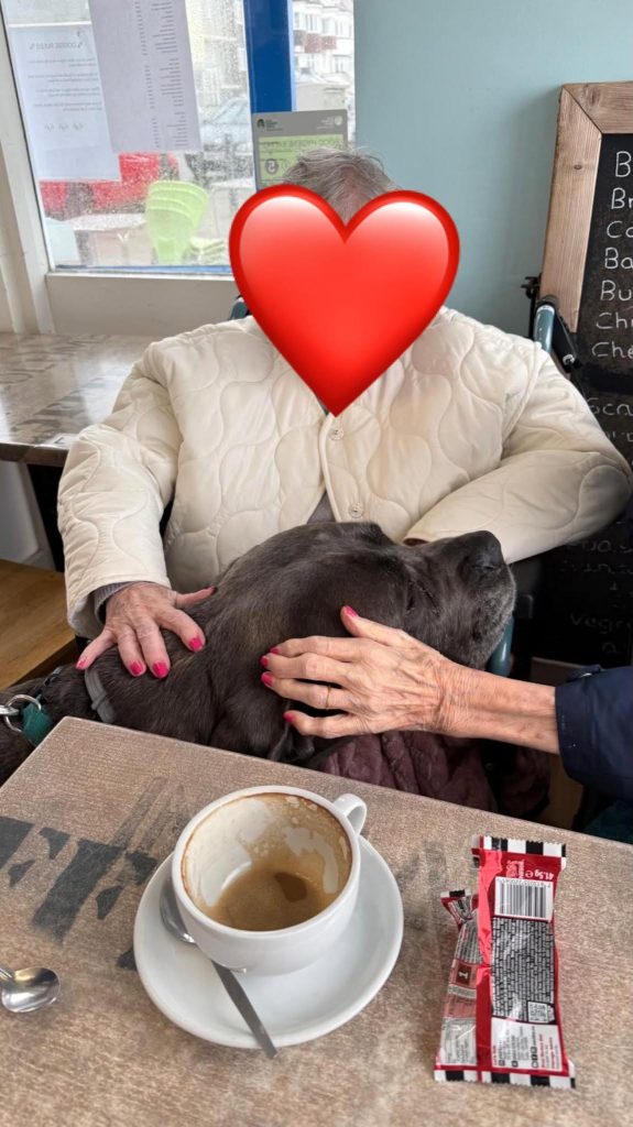 Residents enjoying pet therapy with a friendly dog during a social outing.