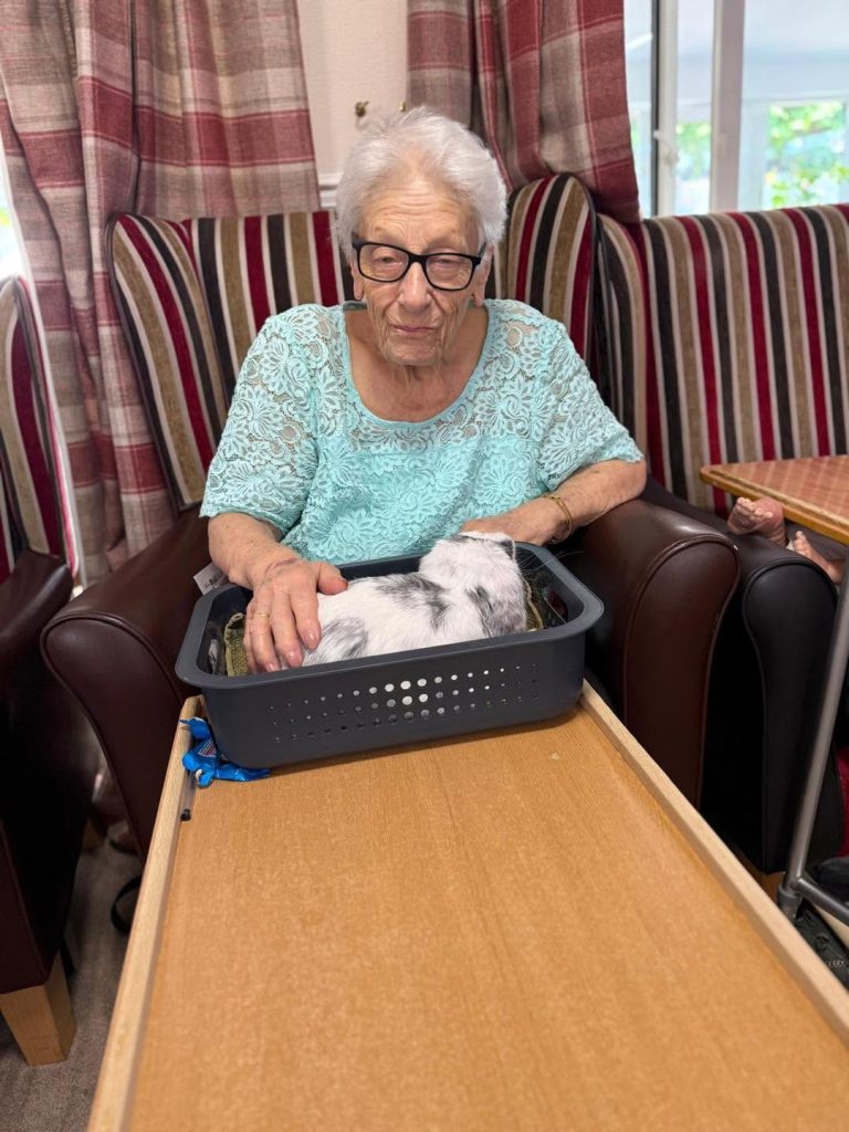 Elderly woman petting a white-and-gray rabbit in a basket.