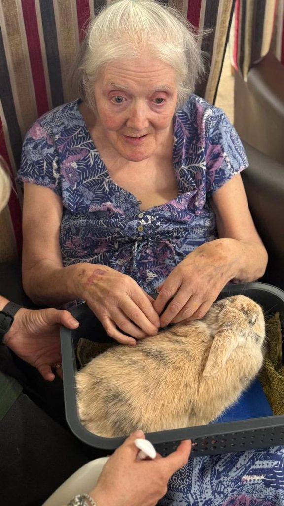Elderly woman gently petting a rabbit in a basket.