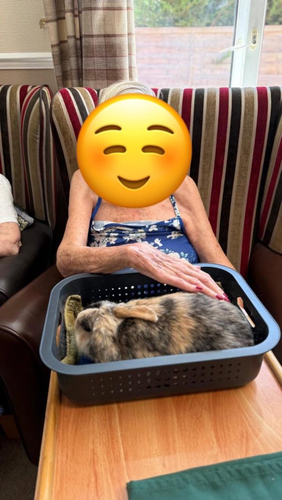 Elderly woman petting a spotted rabbit in a basket.
