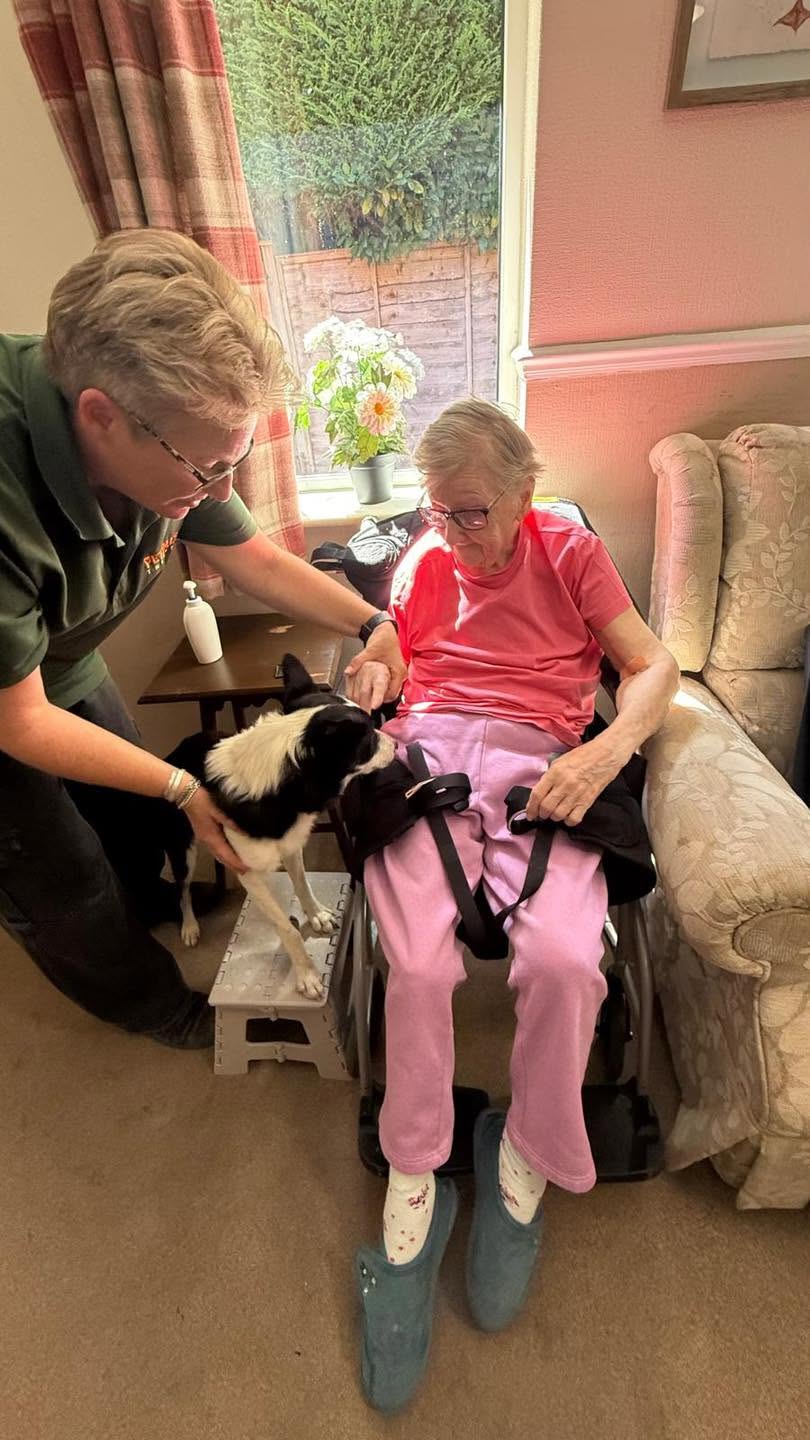 Elderly resident enjoying a visit from a therapy dog.