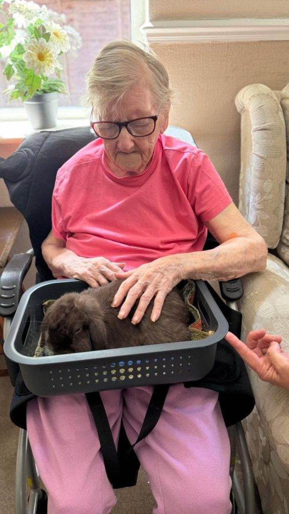Elderly resident gently petting a therapy dog